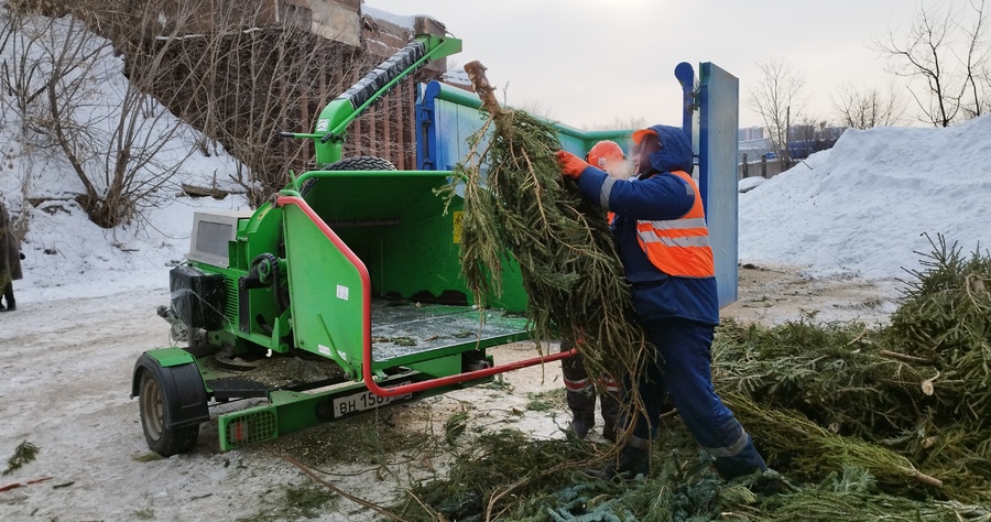 УК «ПЖКХ» переработала более 6 тонн новогодних елок казанцев